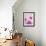 Pink Orchids-null-Framed Photographic Print displayed on a wall