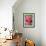 Pink oriental poppy-Clive Nichols-Framed Photographic Print displayed on a wall