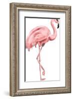 Pink Painted Flamingo-Jetty Printables-Framed Art Print