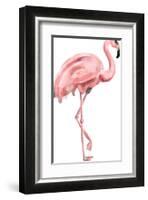 Pink Painted Flamingo-Jetty Printables-Framed Art Print