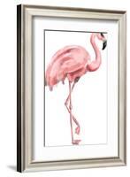 Pink Painted Flamingo-Jetty Printables-Framed Art Print