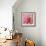 Pink Paris-LuAnn Roberto-Framed Art Print displayed on a wall