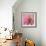 Pink Paris-LuAnn Roberto-Framed Art Print displayed on a wall