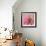 Pink Paris-LuAnn Roberto-Framed Art Print displayed on a wall