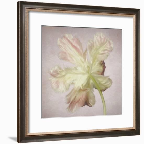 Pink Parrot Tulip Painting II-Cora Niele-Framed Giclee Print