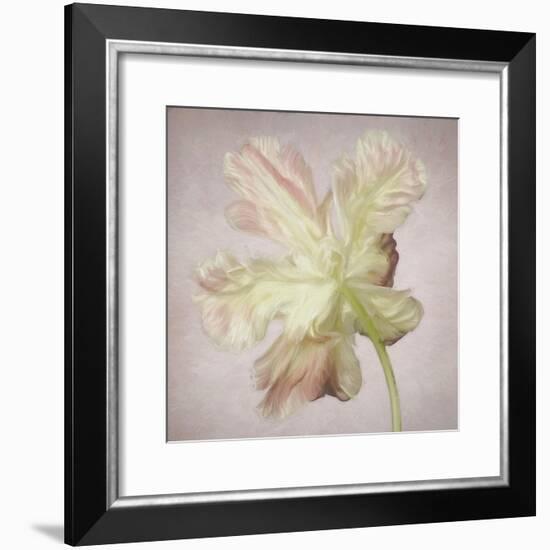 Pink Parrot Tulip Painting II-Cora Niele-Framed Giclee Print