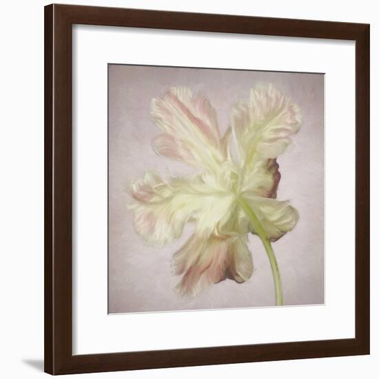 Pink Parrot Tulip Painting II-Cora Niele-Framed Giclee Print