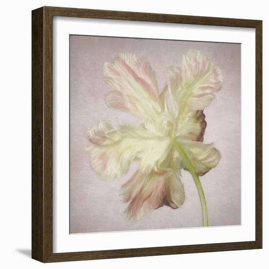 Pink Parrot Tulip Painting II-Cora Niele-Framed Giclee Print