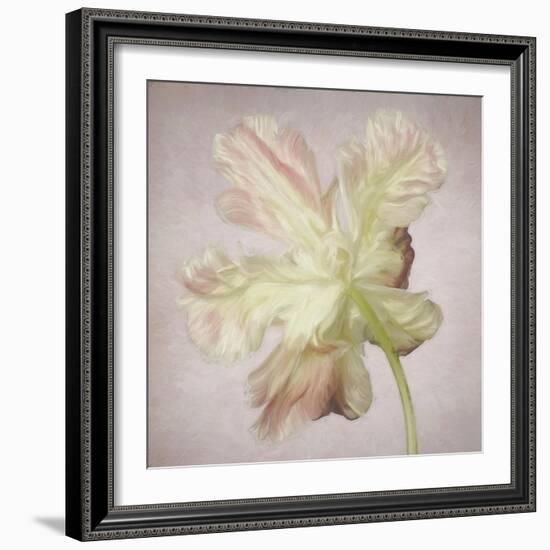 Pink Parrot Tulip Painting II-Cora Niele-Framed Giclee Print