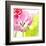 Pink Parrot Tulip-Judy Stalus-Framed Art Print