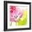 Pink Parrot Tulip-Judy Stalus-Framed Art Print