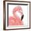 Pink Party of Four I-Gina Ritter-Framed Art Print