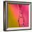 Pink Passage-Heidi Westum-Framed Photographic Print