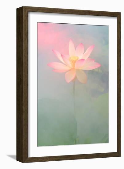 Pink Passion-Bahman Farzad-Framed Photographic Print