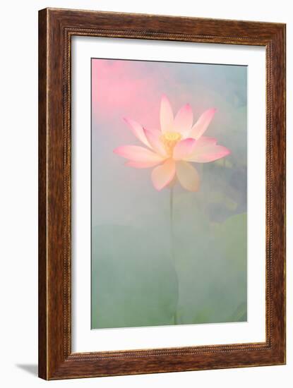 Pink Passion-Bahman Farzad-Framed Photographic Print