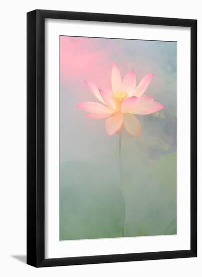 Pink Passion-Bahman Farzad-Framed Photographic Print