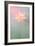 Pink Passion-Bahman Farzad-Framed Photographic Print