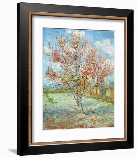 Pink Peach Tree,-Pierre-Auguste Renoir-Framed Art Print