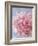 Pink Peonie I-li bo-Framed Giclee Print