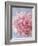 Pink Peonie I-li bo-Framed Giclee Print