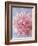 Pink Peonie I-li bo-Framed Giclee Print