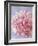 Pink Peonie I-li bo-Framed Giclee Print