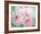 Pink Peonies I-Paula Giltner-Framed Art Print