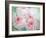 Pink Peonies I-Paula Giltner-Framed Art Print