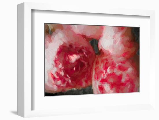 Pink Peonies-Helen White-Framed Photographic Print