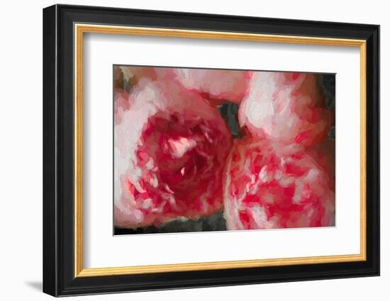 Pink Peonies-Helen White-Framed Photographic Print