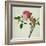 Pink Peony, c.1800-1840-null-Framed Giclee Print