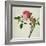 Pink Peony, c.1800-1840-null-Framed Giclee Print