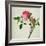 Pink Peony, c.1800-1840-null-Framed Giclee Print