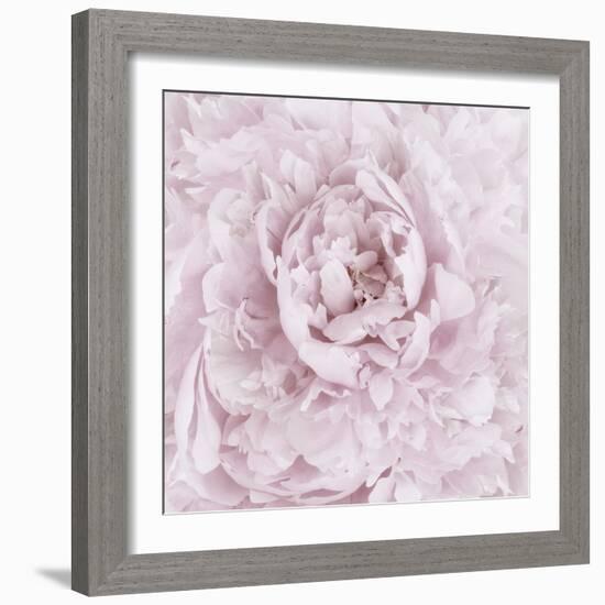 Pink Peony Flower-Cora Niele-Framed Photographic Print