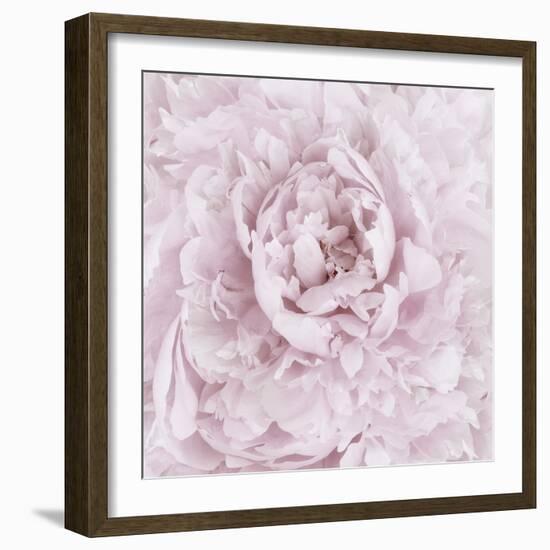 Pink Peony Flower-Cora Niele-Framed Photographic Print