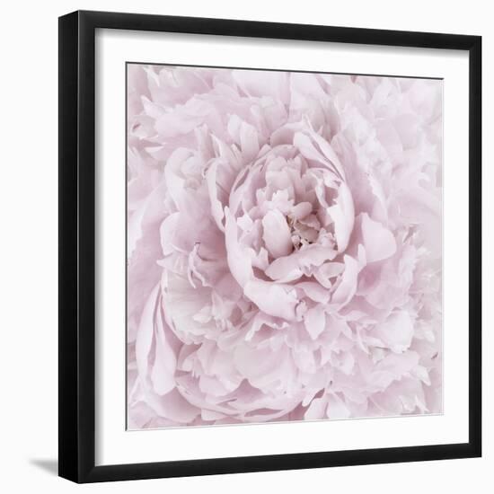 Pink Peony Flower-Cora Niele-Framed Photographic Print