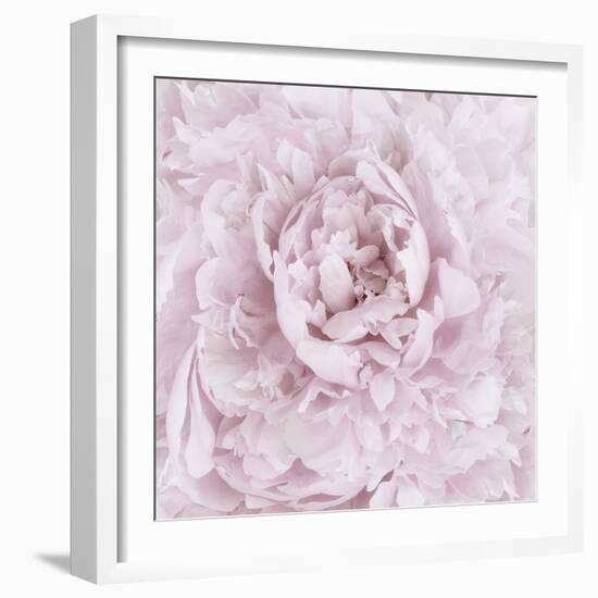 Pink Peony Flower-Cora Niele-Framed Photographic Print