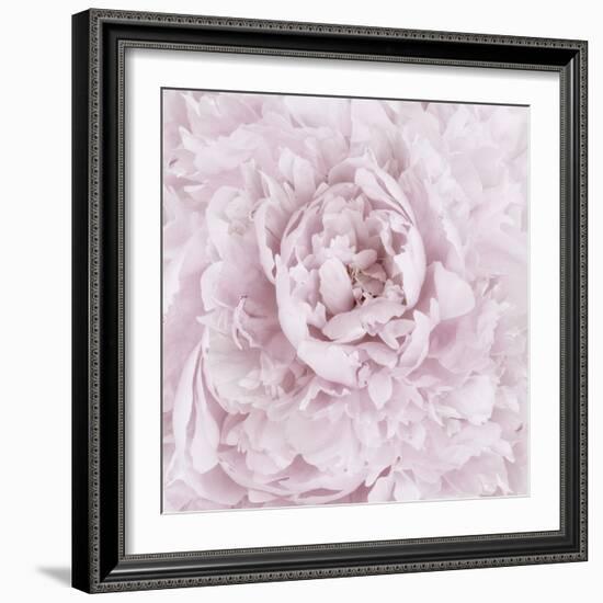 Pink Peony Flower-Cora Niele-Framed Photographic Print