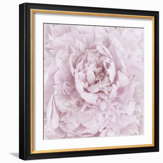 Pink Peony Flower-Cora Niele-Framed Photographic Print