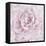 Pink Peony Flower-Cora Niele-Framed Stretched Canvas