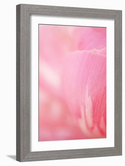 Pink Peony IV-Karyn Millet-Framed Photographic Print