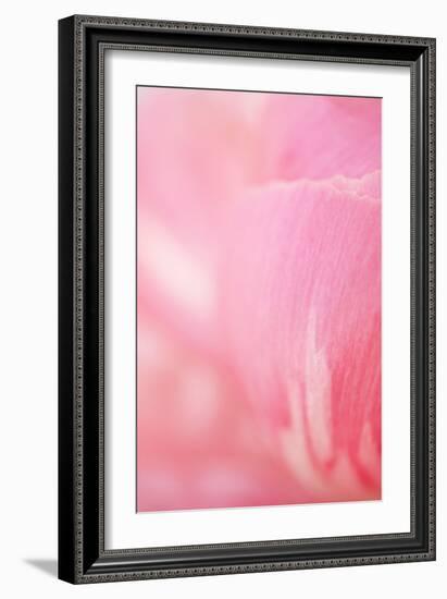 Pink Peony IV-Karyn Millet-Framed Photographic Print