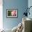 Pink Peony (Paeonia Hybrid)-Maria Mosolova-Framed Photographic Print displayed on a wall