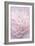 Pink Peony Petals I-Cora Niele-Framed Photographic Print