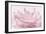 Pink Peony Petals III-Cora Niele-Framed Photographic Print