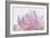 Pink Peony Petals VI-Cora Niele-Framed Photographic Print