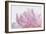 Pink Peony Petals VI-Cora Niele-Framed Photographic Print