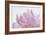 Pink Peony Petals VI-Cora Niele-Framed Photographic Print