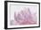 Pink Peony Petals VI-Cora Niele-Framed Photographic Print