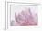 Pink Peony Petals VI-Cora Niele-Framed Photographic Print